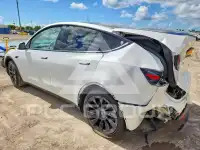 2024 Tesla Model Y фото