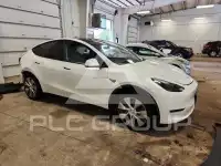 2024 Tesla Model Y photo