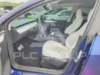2024 Tesla Model Y photo