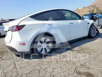 2024 Tesla Model Y photo