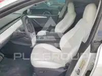 2024 Tesla Model Y photo