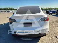 2024 Tesla Model Y photo