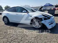 2024 Tesla Model Y photo