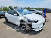 2024 Tesla Model Y фото
