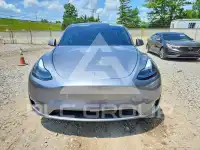 2024 Tesla Model Y фото