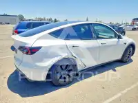 2024 Tesla Model Y photo