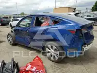 2024 Tesla Model Y photo