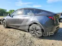 2024 Tesla Model Y photo
