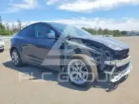 2024 Tesla Model Y photo