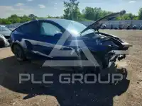 2024 Tesla Model Y photo