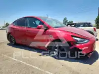 2024 Tesla Model Y photo