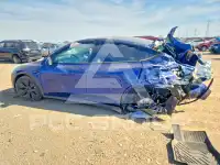 2024 Tesla Model Y photo