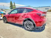 2024 Tesla Model Y photo