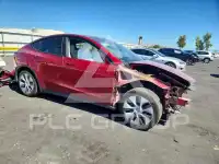 2024 Tesla Model Y фото