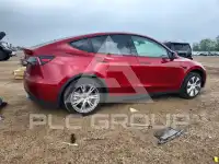 2024 Tesla Model Y photo