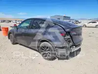 2024 Tesla Model Y фото