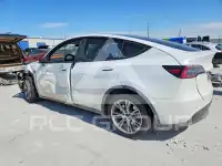 2024 Tesla Model Y фото