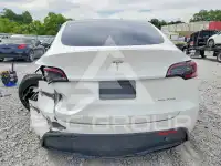 2024 Tesla Model Y photo