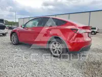 2024 Tesla Model Y фото