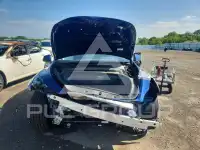 2024 Tesla Model Y photo