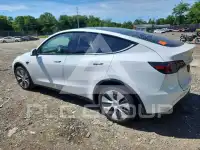 2024 Tesla Model Y photo