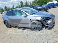2024 Tesla Model Y photo
