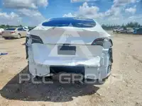 2024 Tesla Model Y фото