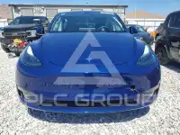2024 Tesla Model Y photo