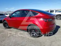 2024 Tesla Model Y photo