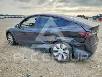 2024 Tesla Model Y фото