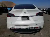2024 Tesla Model Y photo