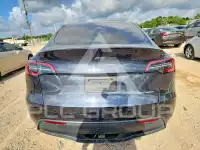 2024 Tesla Model Y photo
