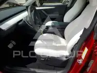 2024 Tesla Model Y photo