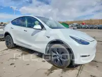 2024 Tesla Model Y фото