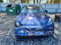 2024 Tesla Model Y photo
