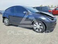 2024 Tesla Model Y photo