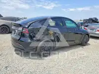 2024 Tesla Model Y photo