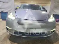 2024 Tesla Model Y photo