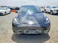 2024 Tesla Model Y photo