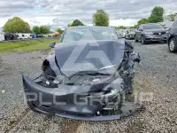 2024 Tesla Model Y photo