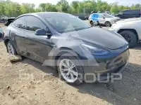2024 Tesla Model Y photo