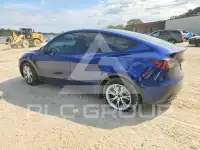 2024 Tesla Model Y photo