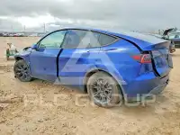 2024 Tesla Model Y photo