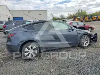 2024 Tesla Model Y photo