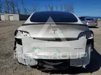 2024 Tesla Model Y photo