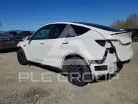 2024 Tesla Model Y photo