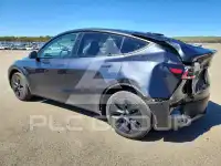 2024 Tesla Model Y photo