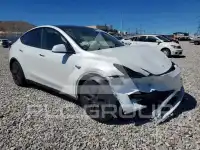 2024 Tesla Model Y фото