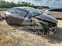 2024 Tesla Model Y photo
