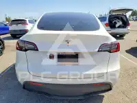 2024 Tesla Model Y фото